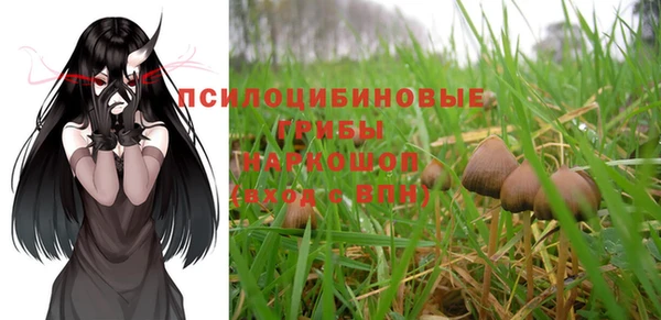 прущие крисы Рославль